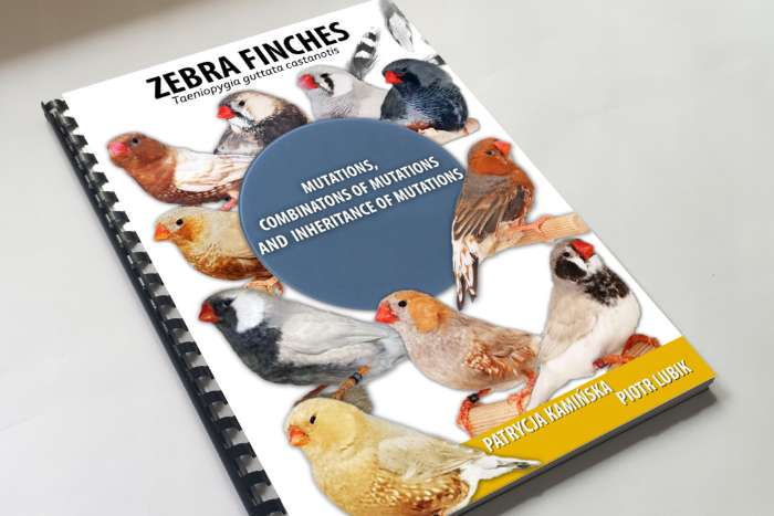 zebra finch book 2023
